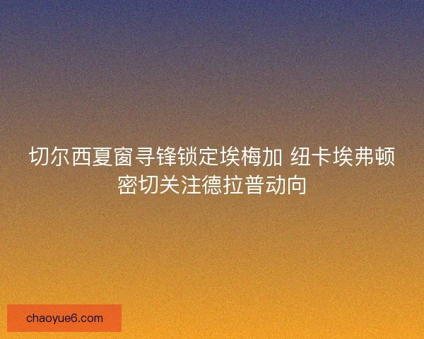 切尔西夏窗寻锋锁定埃梅加 纽卡埃弗顿密切关注德拉普动向