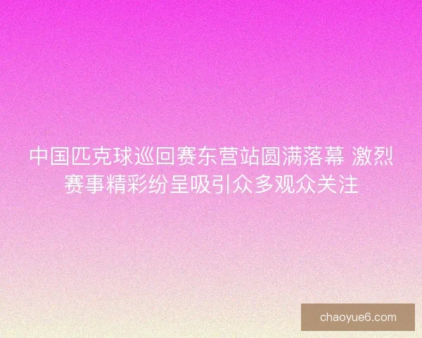 中国匹克球巡回赛东营站圆满落幕 激烈赛事精彩纷呈吸引众多观众关注